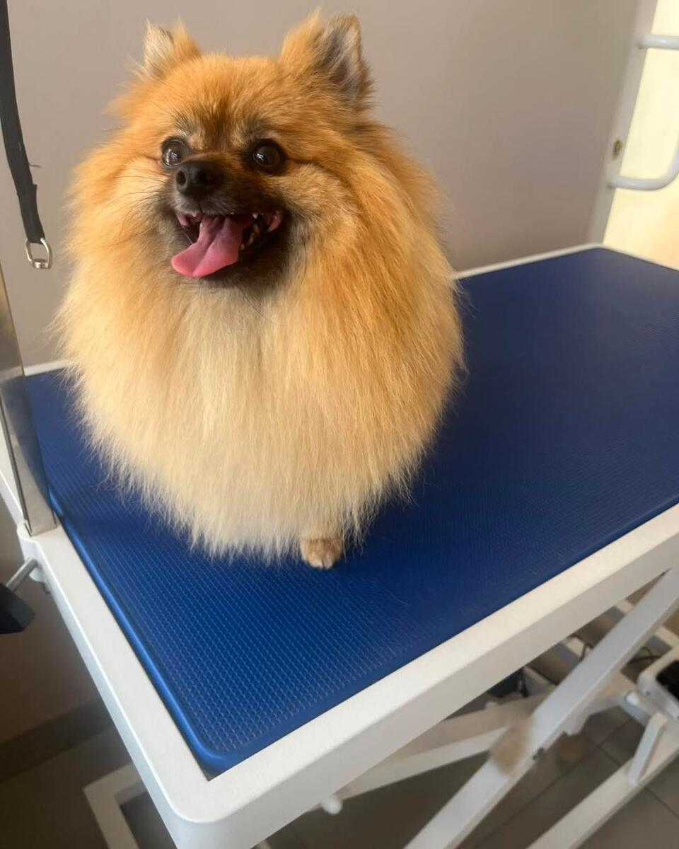 Bella