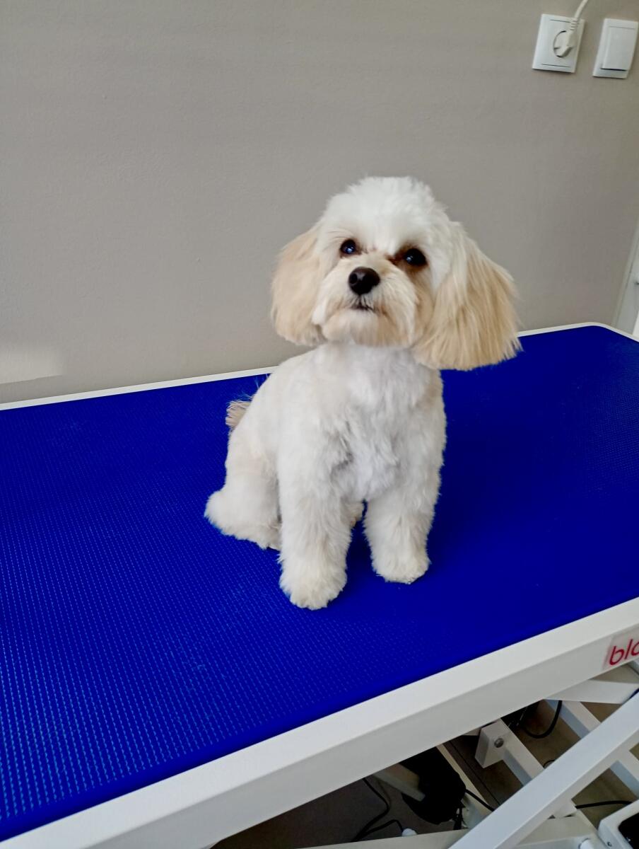 Lulu